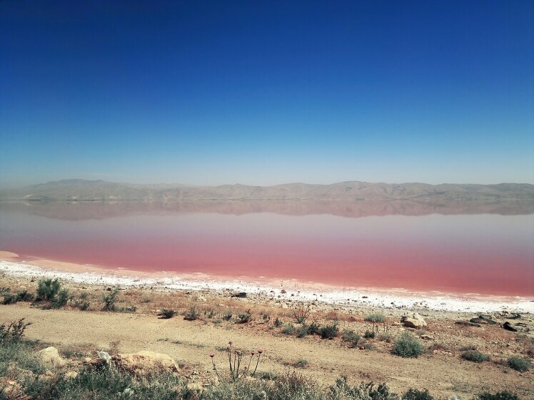 نمک دریاچه مهارلو ۱۰۰ درصد آلوده و غیربهداشتی است